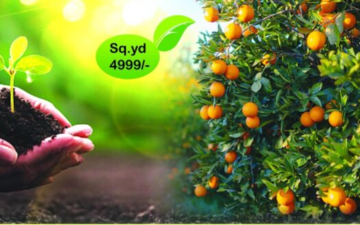 img6 1536x1085 1 e1659077762553